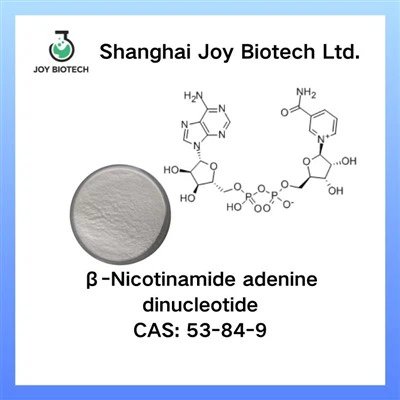 -nicotinAmideアデニンジヌクレオチド（NAD+）